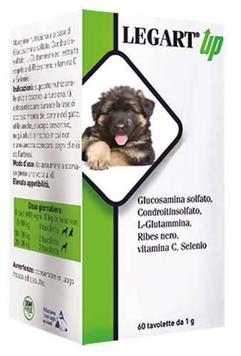 LEGART UP 60 COMPRESSE DA 1 G - Antica Farmacia Celesia