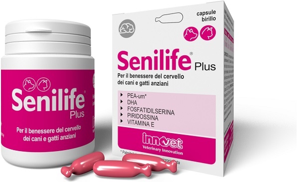 SENILIFE PLUS 30 CAPSULE - Antica Farmacia Celesia